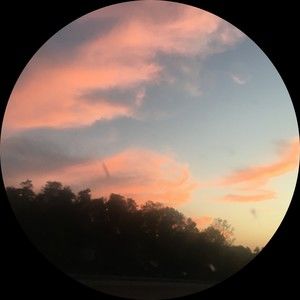 Meet your Posher, Lila